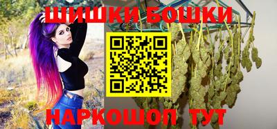 шишки Кимры